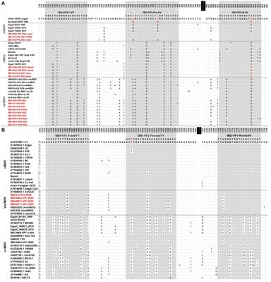 Advancing IBDV diagnostics: a one-step multiplex real-time qRT-PCR for discriminating between vvIBDV and non-vvIBDV viruses, including the newly emerged IBDV variant